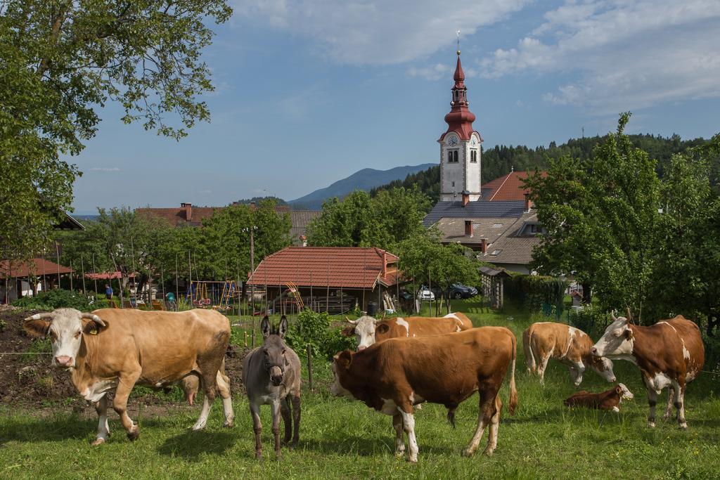 블레드 Bio Turisticna Kmetija Frcej-Zupan 빌라 외부 사진